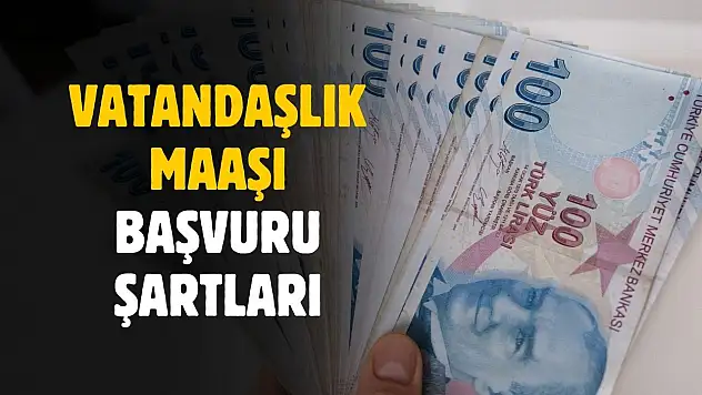 Vatandaşlık maaşı başvuru şartları belli oldu