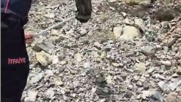 Yatak ve halıların arasına saklanan yılanı itfaiye buldu