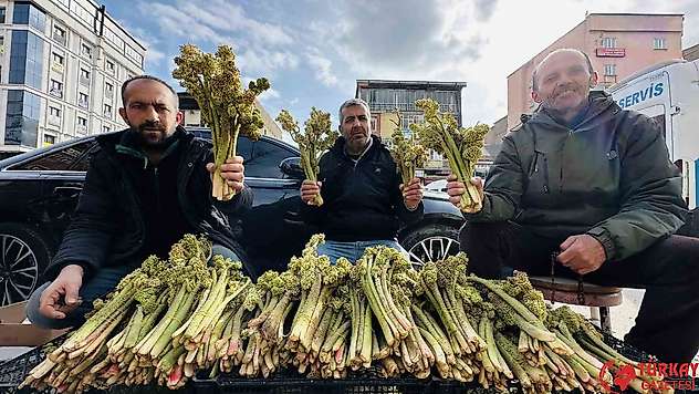 Yayla muzunun destesi 100 TL'den satışa çıkarıldı