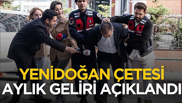 Yenidoğan Çetesi'nin aylık geliri ortaya çıktı