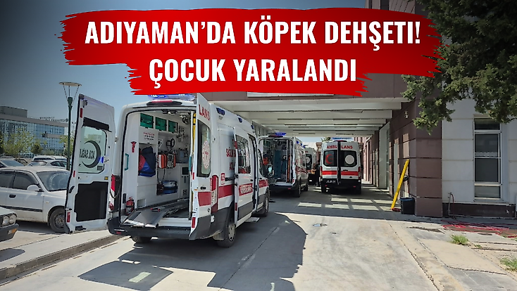 Adıyaman’da Köpek Dehşeti! Çocuk Yaralandı