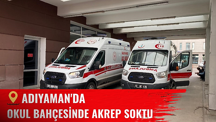 Adıyaman'da okul bahçesinde akrep soktu