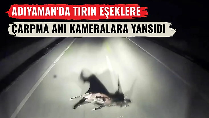 Adıyaman'da tırın eşeklere çarpma anı kameralara yansıdı