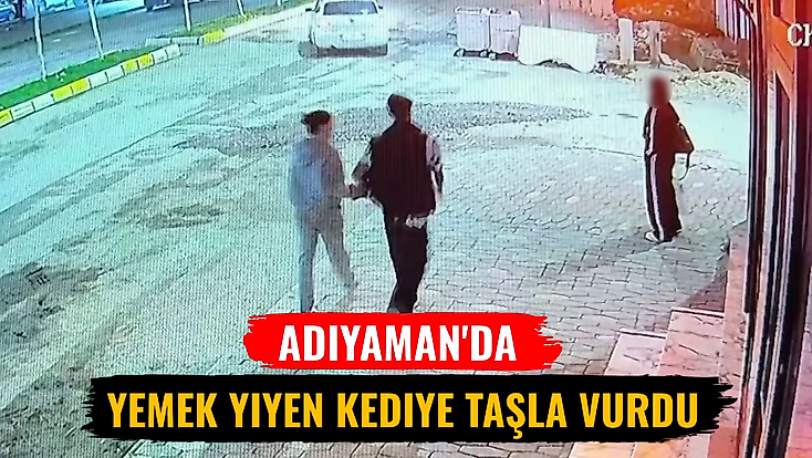 Adıyaman'da yemek yiyen kediye taşla vurdu