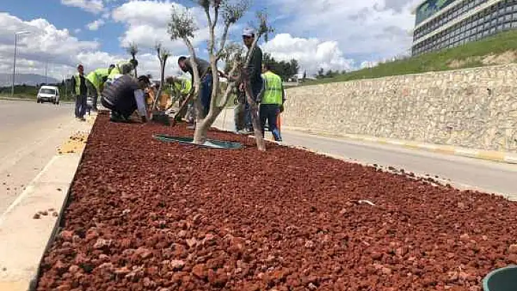 Depremin Yaraları Sarılıyor