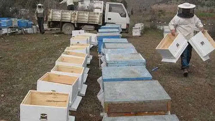 Arıcılara 3 Bin Adet Kovan Hibe Edilecek