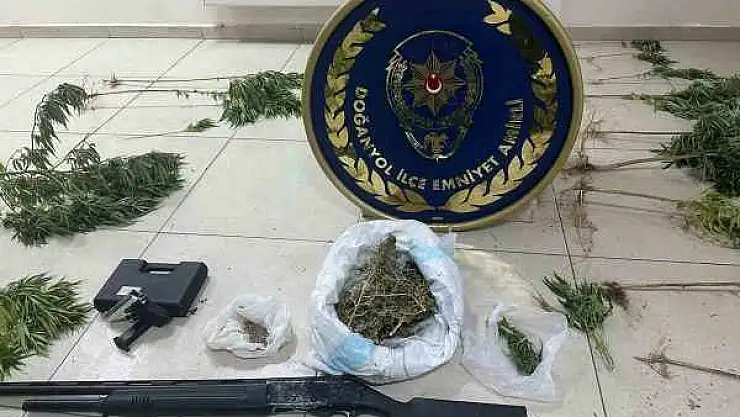 60 Kök Hint Keneviri Ele geçirildi