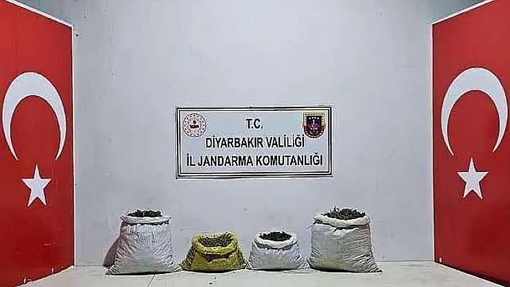 7 Bin Kök Kenevir İle 79 Kilogram Esrar Ele Geçirildi