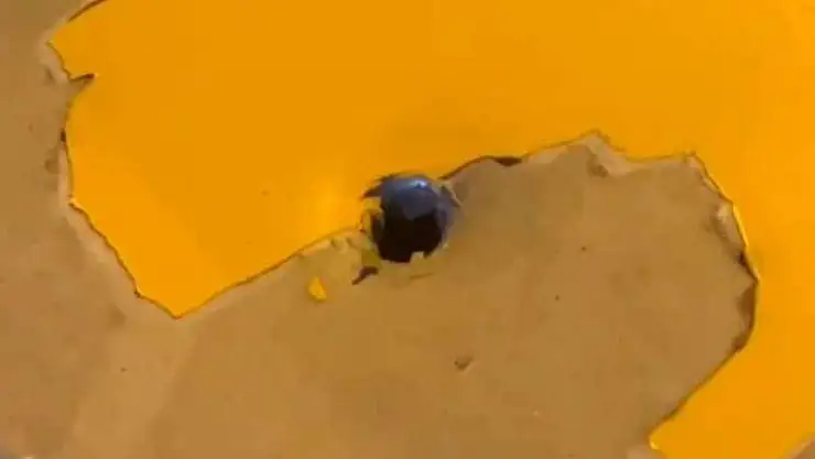 Mardin'de taksi maganda kurşununa hedef oldu