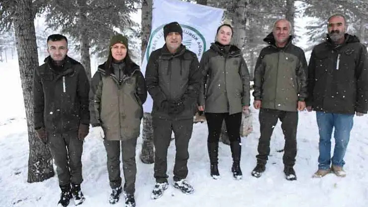 Şırnak'ta yaban hayvanları unutulmadı, doğaya yem bırakıldı