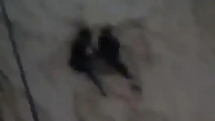 Cizre'de sele kapılan 2 vatandaş son anda kurtuldu