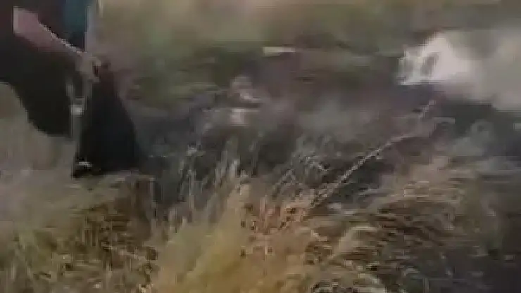 Binlerce dönümlük arpa tarlası yanmadan vatandaşlar yetişti
