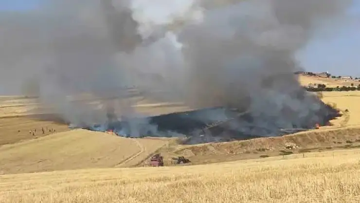 Yangında buğday ekili arazi kül oldu, tarla sahibi biçerdöver şoförünü darp etti