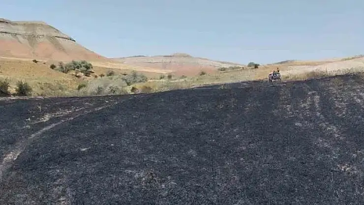 Yangın badem ve fıstık ağaçlarına zarar verdi
