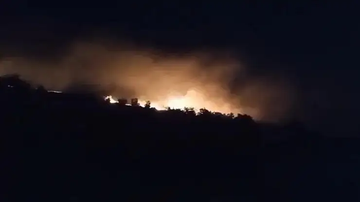 Mardin'de 5 ayrı noktada çıkan anız yangını söndürüldü
