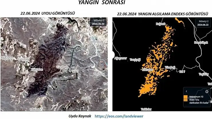 Dicle Elektrik Yönetim Kurulu Başkanı Atalay: 'Yangının elektrik kaynaklı olmadığı belge ve görüntülerle sabit'
