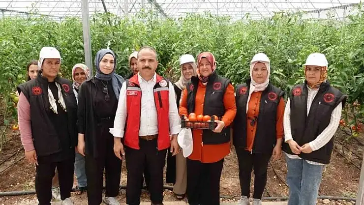 Gaziantep'te seralara kadın eli değdi
