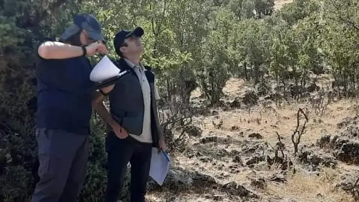 Gölbaşı'nda ormanların sağlığı araştırılıyor