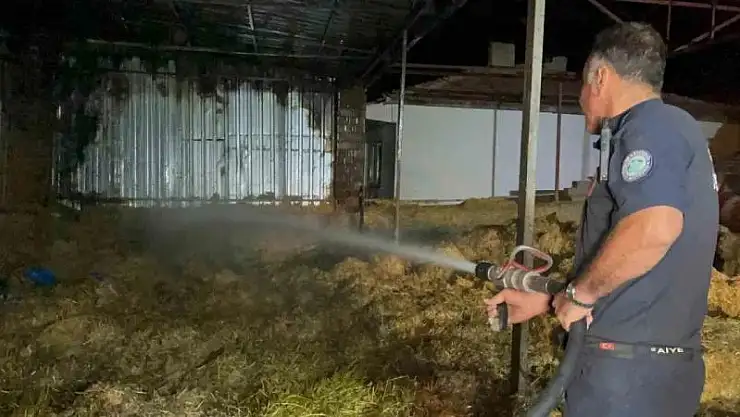 2 bin balya saman ve 1 traktör küle döndü