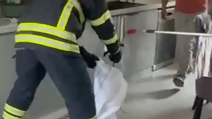 Adana'da mutfaktan çıkan yılan paniğe yol açtı