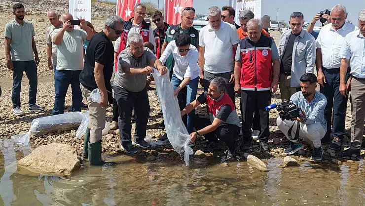 Adıyaman'da 1 milyonun üzerinde yavru sazan doğaya bırakıldı