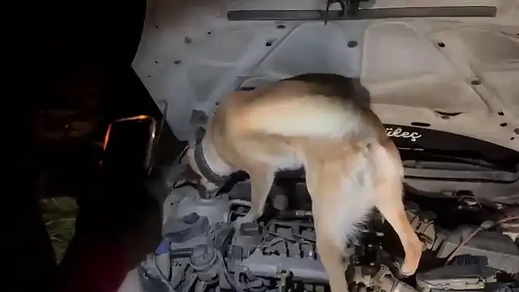 Adıyaman'da 38 günde 201 şüpheliye uyuşturucudan işlem yapıldı