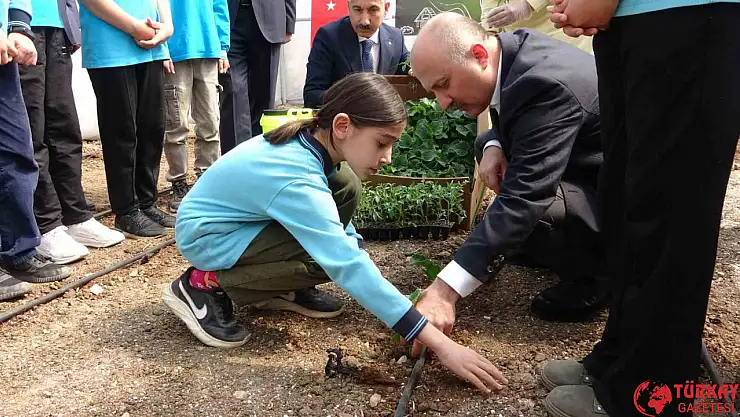 Adıyaman'da okulun bahçesine kurulan serada sebzeler yetişecek