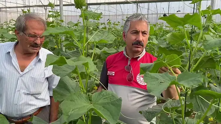 Adıyaman'da Sera-GES Projesiyle tarımsal üretim hız kazanıyor