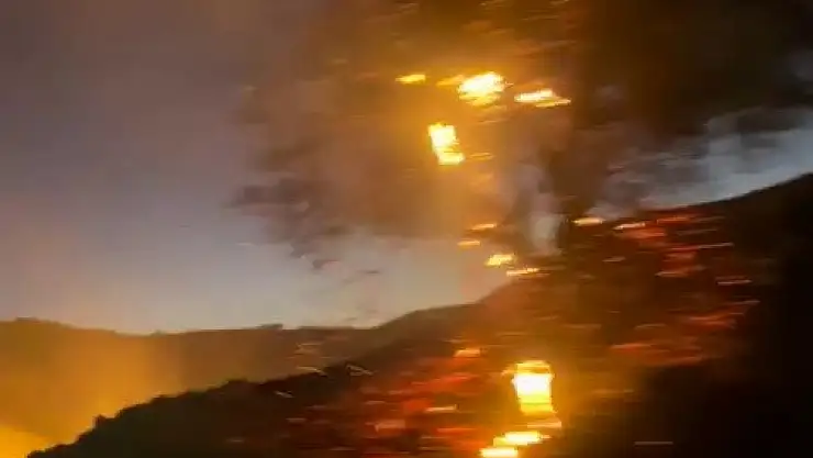 Anız yangını bahçeye sıçradı