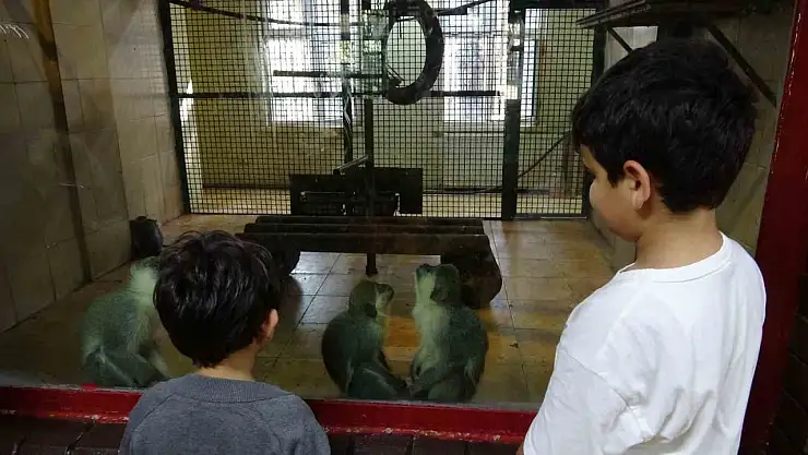 Ara tatile çıkan öğrenciler soluğu hayvanat bahçesinde aldı