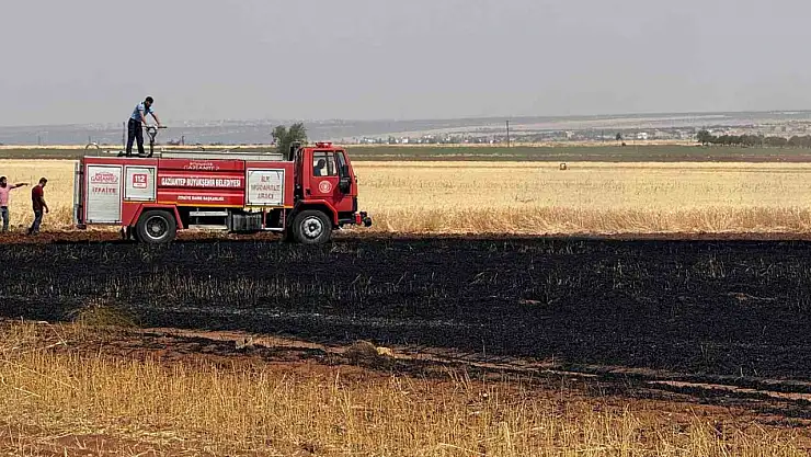 Araban Ovası'nda 15 dönüm buğday ekili alan daha yandı