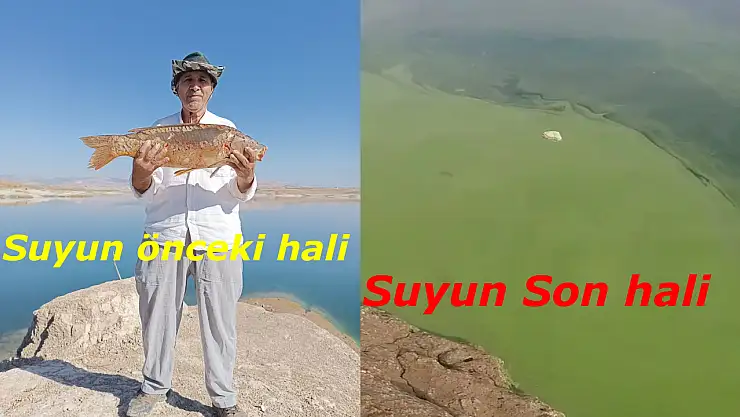 Balık avlamaya gitti hayatının şokunu yaşadı: Atatürk barajında neler oluyor?