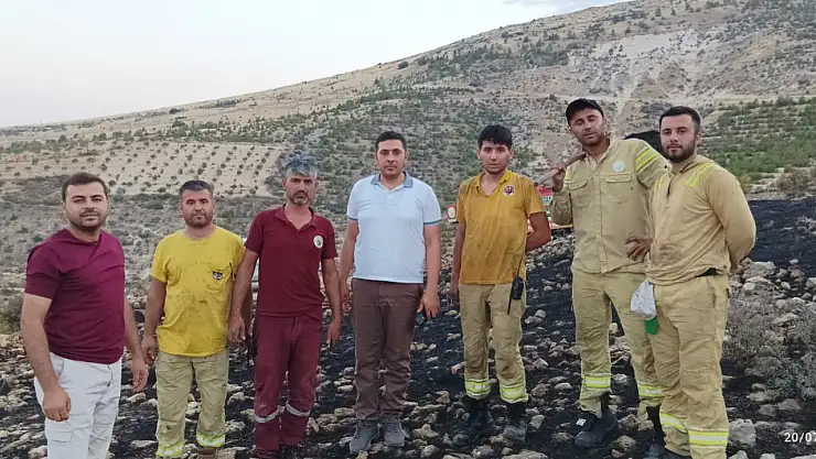 Besni'de çıkan orman yangını söndürüldü: 5 hektar alan yangında kül oldu