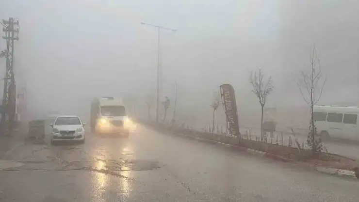 Besni'de yoğun sis etkili oldu