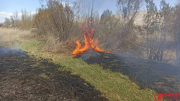 Darende'de sazlık yangını