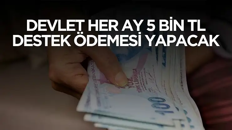 Devlet her ay 5 bin TL destek ödemesi yapacak! Şartlar açıklandı