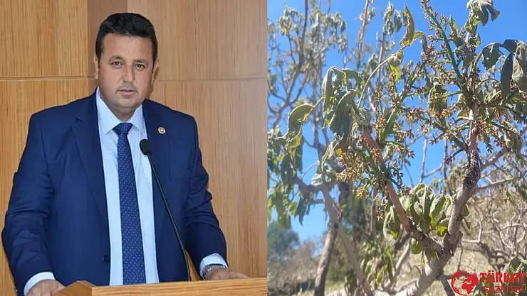 Durmuş: 'Zirai Don tespitleri yapıldı, çiftçilerimiz adına umutlandık'