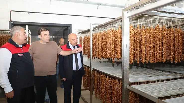 Elazığ'da hibe desteği alan işletmeler denetlendi
