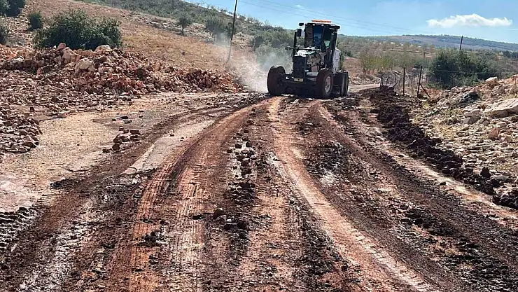 Etkili olan yağmur tarlaları sular altında bıraktı