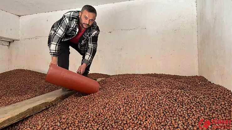 Fındık fiyatları rekor seviyeye ulaştı