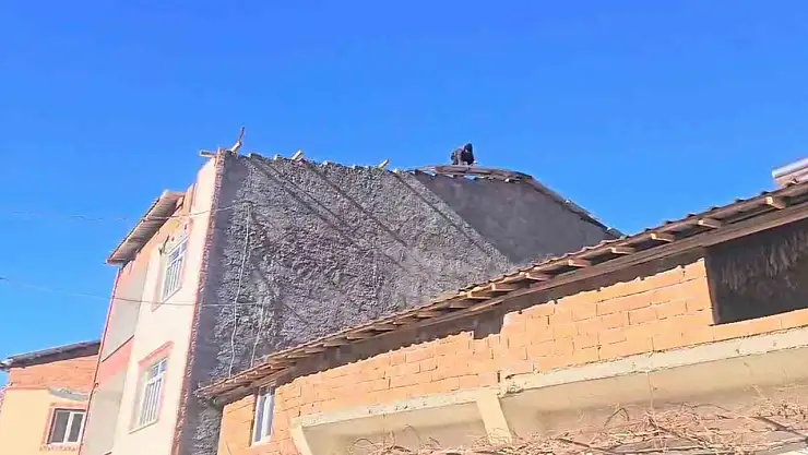 Adıyaman'da fırtına etkili oldu