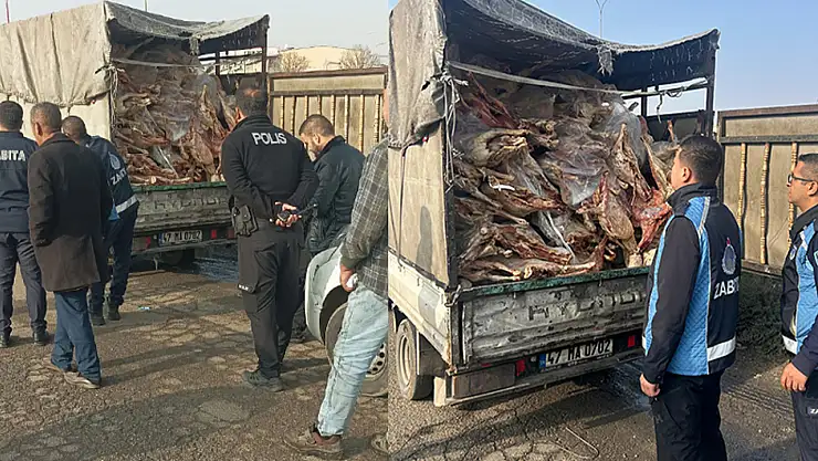 Kamyonet kasasında kilolarca bozuk et ele geçirildi