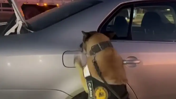 Adıyaman'da hassas burunlu Cadı tepki verdi, yakıt deposu kapağından uyuşturucu çıktı