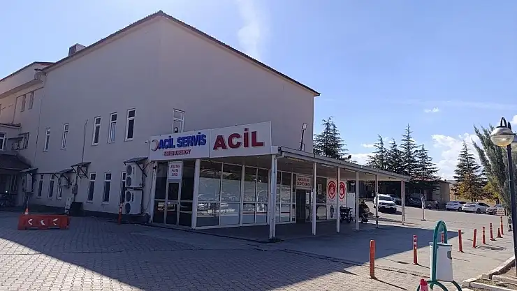 Kahramanmaraş'ta arının soktuğu çocuk hayatını kaybetti