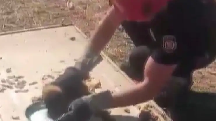 Kanala düşen yavru köpek kurtarıldı