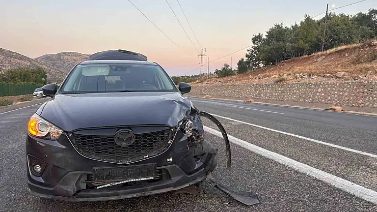 Adıyaman Gölbaşı'nda karayoluna çıkan küçükbaş sürüye çarpan araç 4 hayvanı telef etti