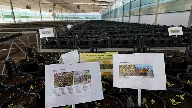 Kurakçıl Peyzaj Tasarımı Projesi'ne destek