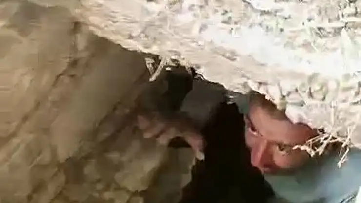 Lağım kuyusuna düşen yavru köpekleri vatandaşlar kurtardı