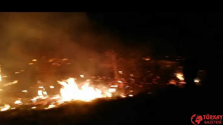 Malatya'da sazlık yangını