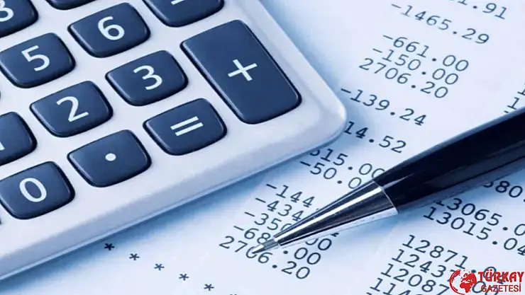 Muhasebecilere yeşil pasaport verilmesi gündemde